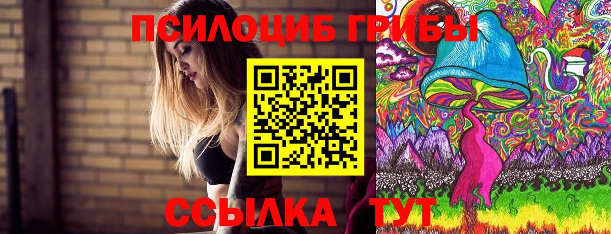 купить наркотик  Псилоцибиновые грибы Psilocybe  Вход с VPN  Тосно 