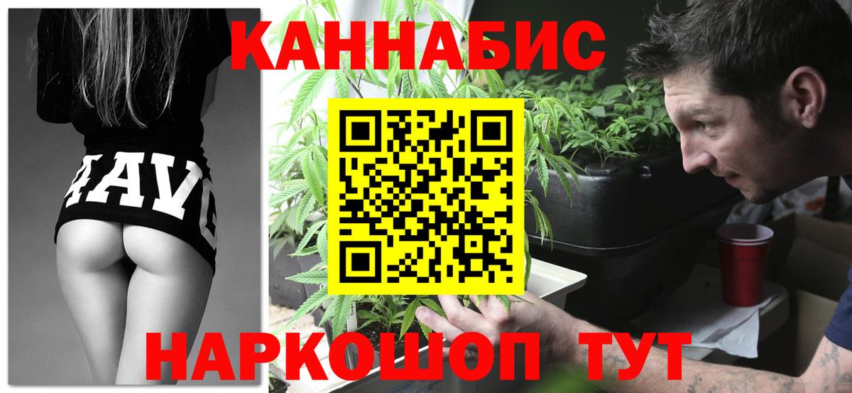 Шишки марихуана конопля  Вход с VPN  МАРИХУАНА семена  Конопля индика  Тосно 